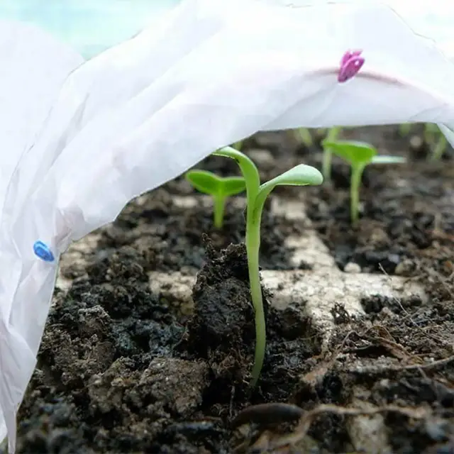 1,5X10M Növényvédő Burkolat Nem Szőtt Fagyálló Növényi Téli Hőmegőrzés - Image 2