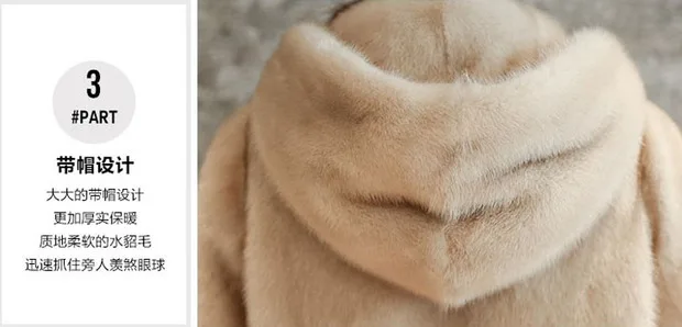  36020180419133136453_______