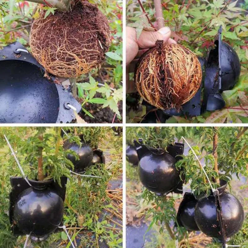 Plant Rooting Box Plant Rooting Pot 10/20pcs fruit Plant tree Rooting Ball Root box plastic case propagation Box Grafting Rooter Growing High-pressure breeding ball