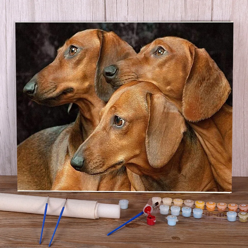 Animal Dog Dachshund Paint By Numbers Kit Acrylic Paints 40*50 Boards