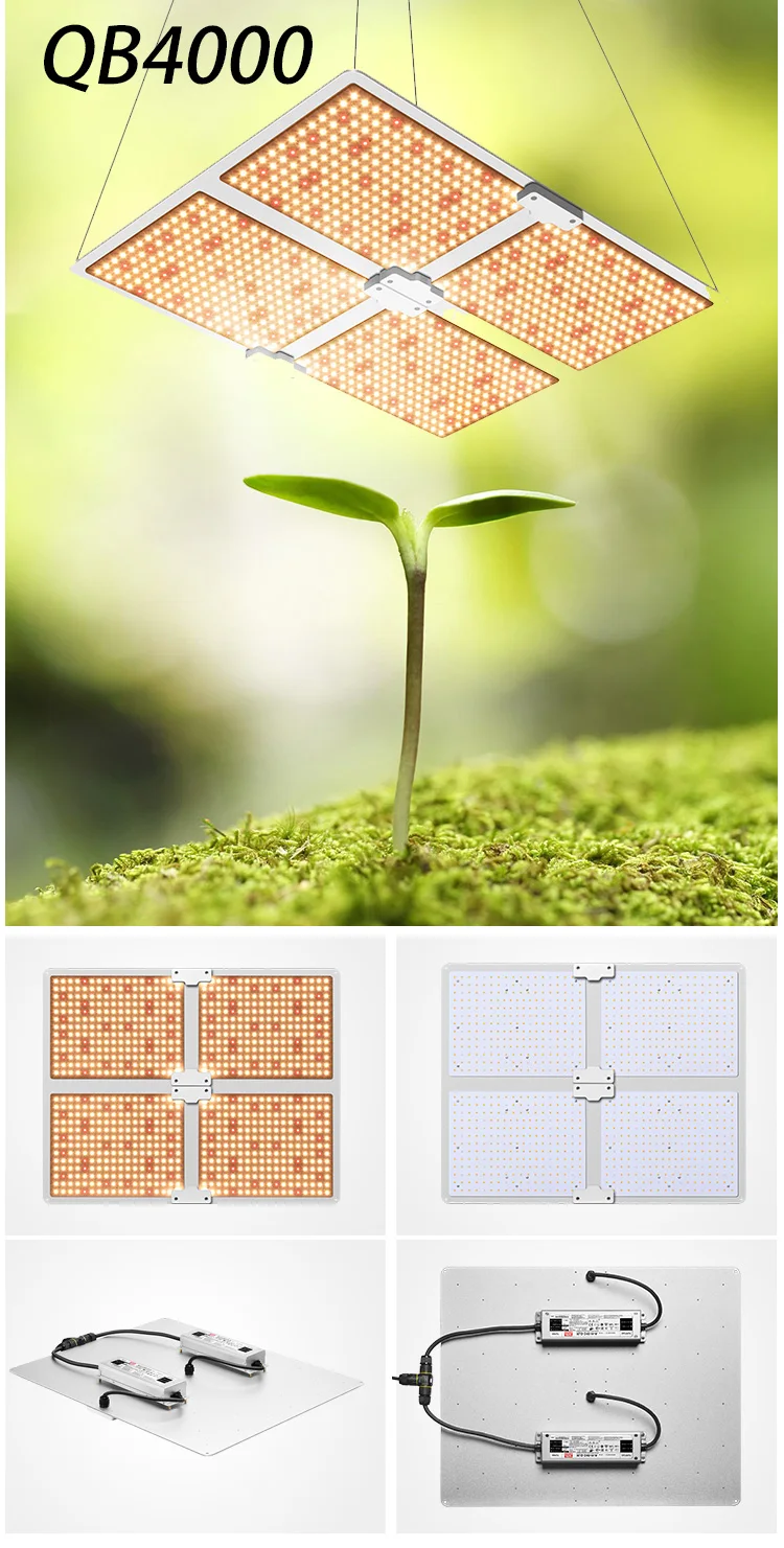 量子板QB4000详情也英文版_03