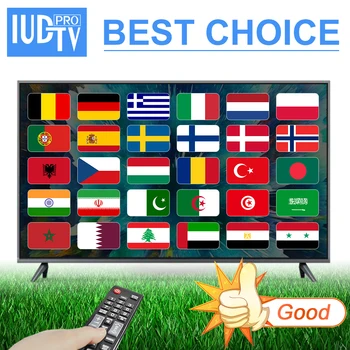 

IUDTV IP Greek German Spain Portugal Belgium Dutch Czech TV Android Box M3u Smart TV MAG Arabic Italy Sweden Norway EX-YU TV