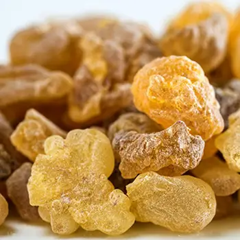

Frankincense essential oil natural Anti aging Wrinkle Restore skin elasticity Remove odor massage