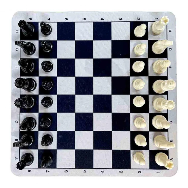 32Pcs Chess Pieces with No Board, Portable Chess Pieces Tournament Chess  Pieces - AliExpress