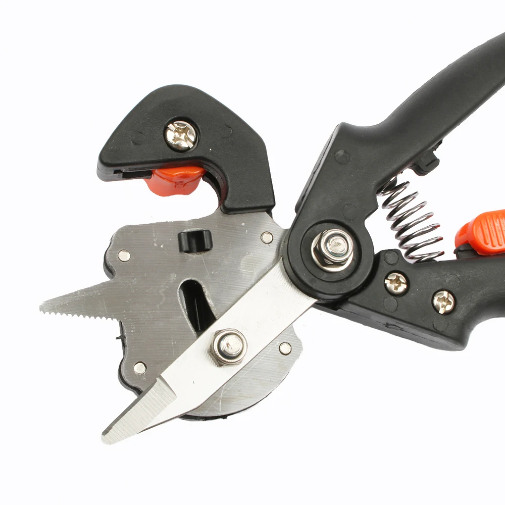 HTB1jzKXbVooBKNjSZPhq6A2CXXaG