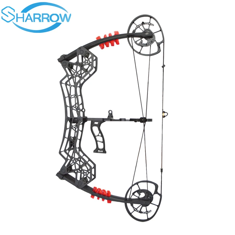 

NEW 30-60LBS Archery Compound Bow 310FPS RH Catapult Dual-use Steel Ball Arrows Shooting slingshot Hunting Shooting