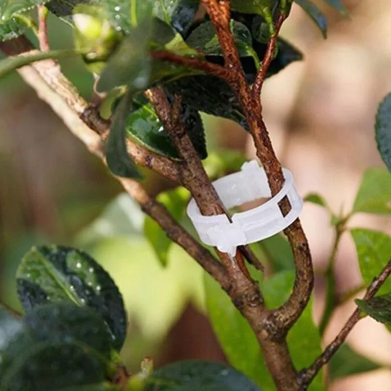 Plant Clips Plastic Plant Supports 50pcs Gardening Plant Clip Anti-break Holder Tomato Tree Support Stand Branches Garden Strengthen Fixing Tools