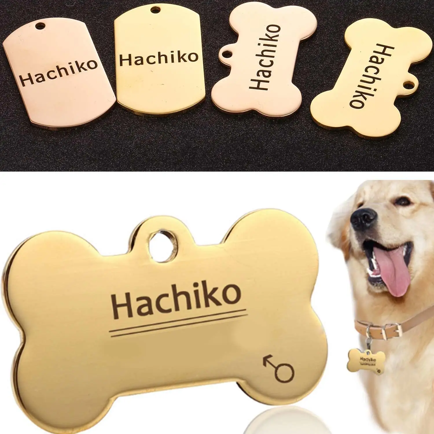 dog nameplate