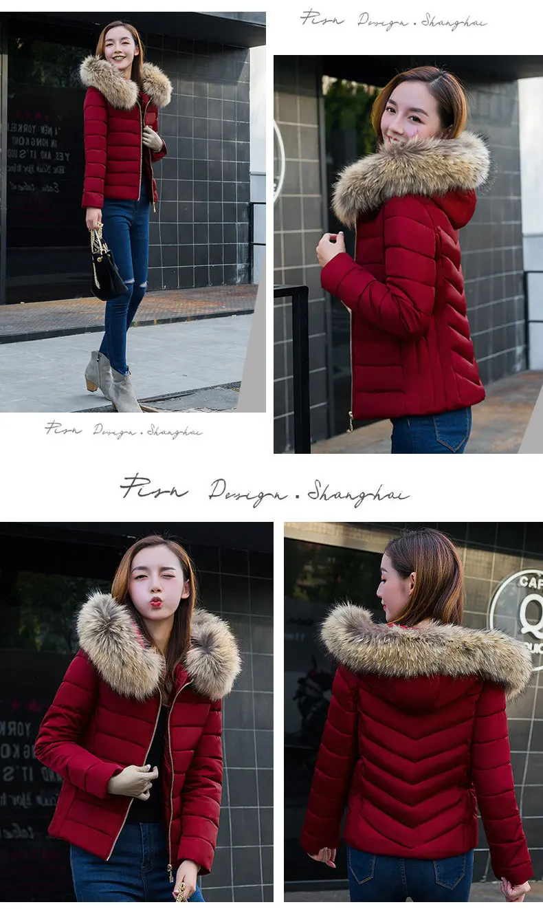 Cotton Coat Winter Korean-style New Style WOMEN'S Cotton Padded Clothing Women's Short Slim Fit Cotton-padded Jacket down J