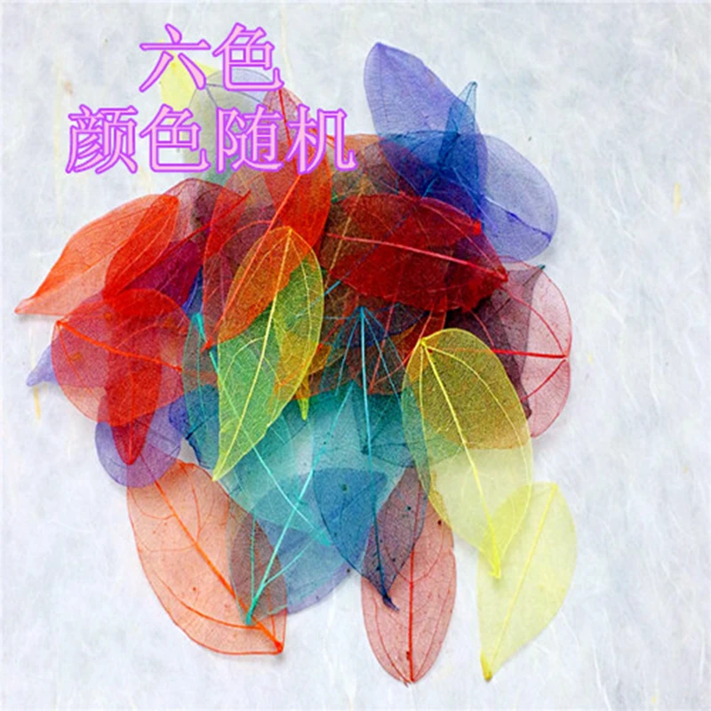 Dried flowers01