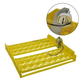 

48 Eggs Tray Automatic Incubator Mini Household Bird Duck Eggs Holder 220V/110V Farm Poultry Hatching Machine