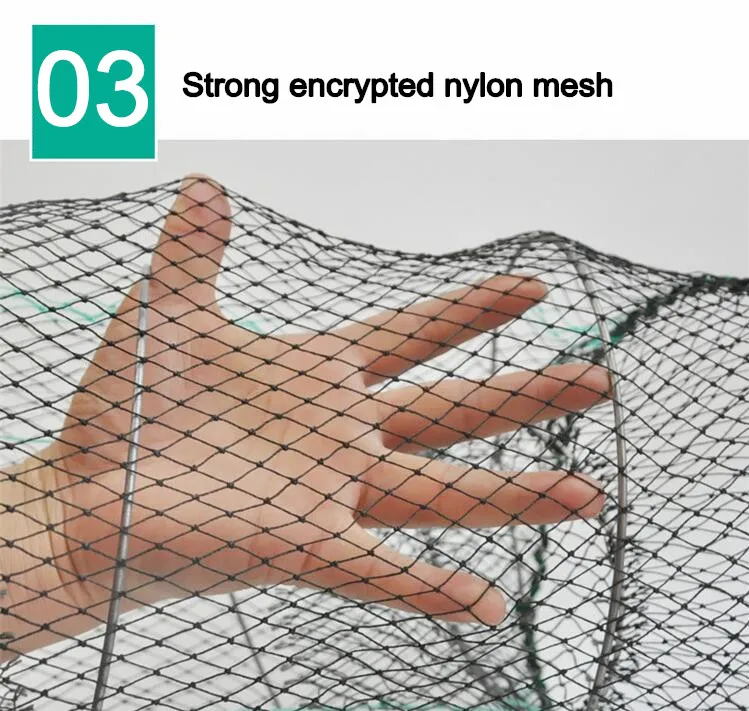 QQ截图20201121084226_副本