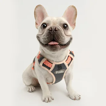 

Light Dog Harness Gentle Leader No Pull for Chichuahua Pug Beagle Perro Cute Pet Vest Step In Puppy Travel Accessories Easy Walk