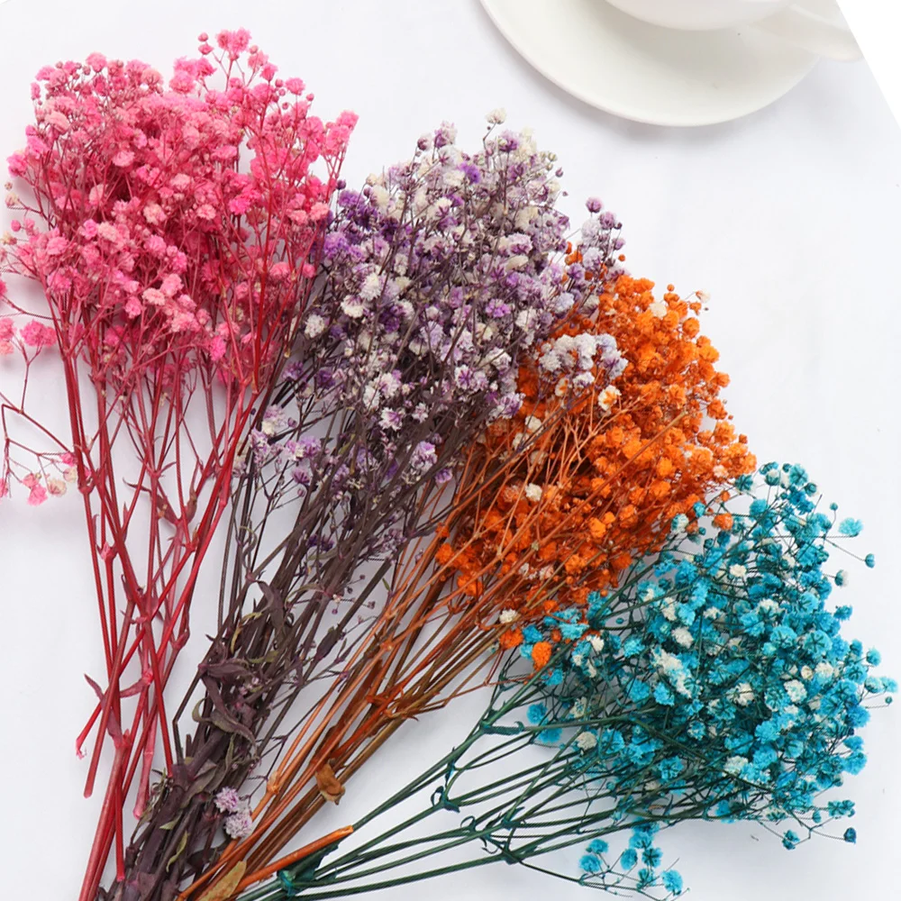 Красочные Натуральные Сушеные букеты Babysbreath настоящие цветы сухие форма из смолы