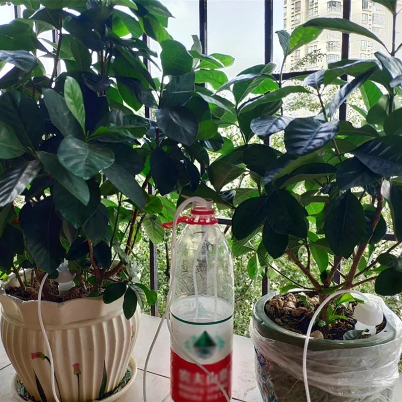 

10 Pcs DIY Automatic Watering System Moving Plant Potted Waterer Bottles Water Drip Watering Device Plant Flower Irrigation