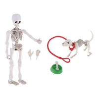 Mini Pose Skeleton Doll/Dog Joints Moveable Action Figure Collection Halloween Dollhouse Model Decorations Set for Friends 2