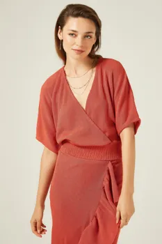 

DOUBLE BREASTED COLLAR LOW SLEEVE KNITWEAR BLUZ