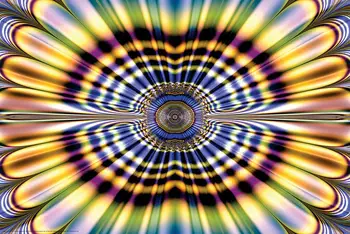 

Fractal Flower Trippy Optical Illusion SILK POSTER 24x36inch