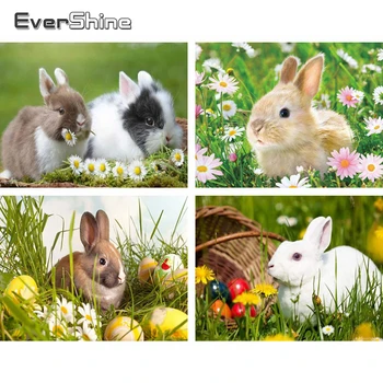 

Evershine Diamond Painting Cross Stitch Embroidery Animals Full Square Crystal Mosaic Rabbit Rhinestone Pictures Home Decoration