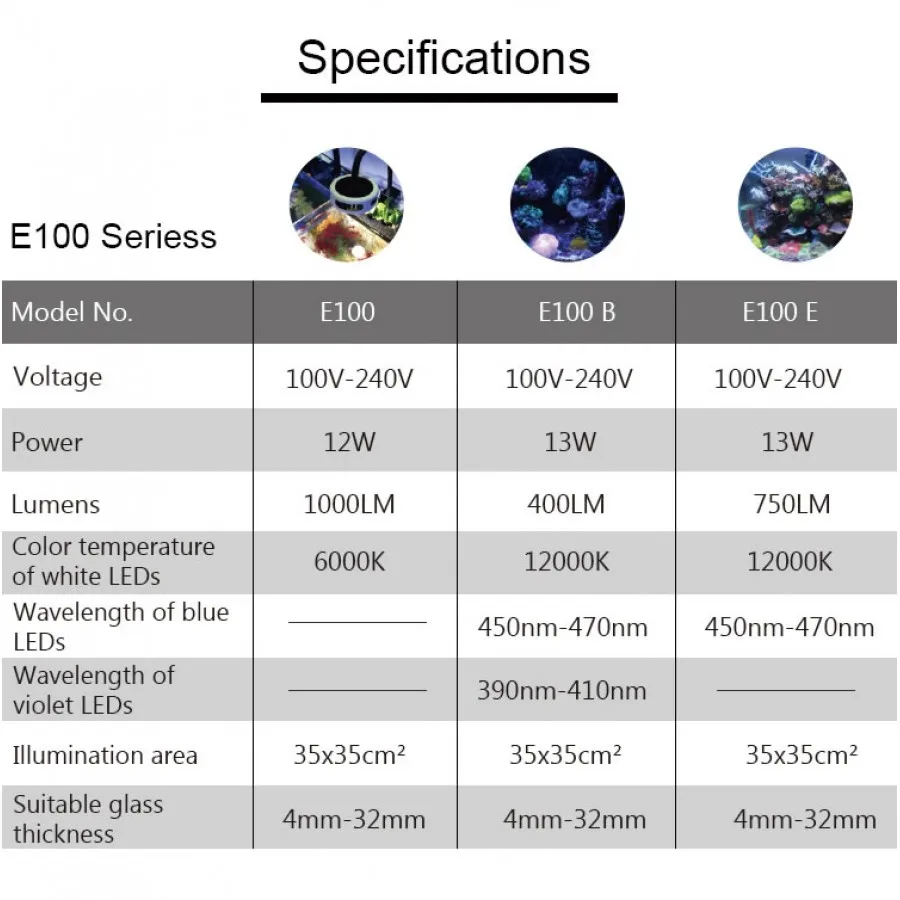 E100英文_r4_c1-900x900