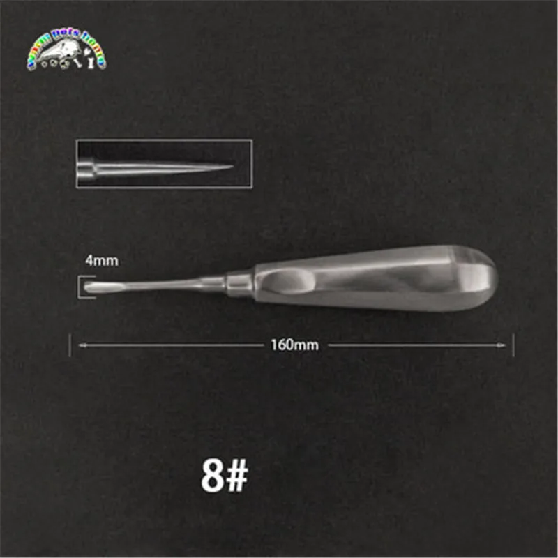 model 8