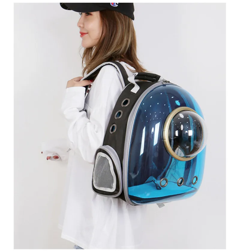 12283266689_1251387692