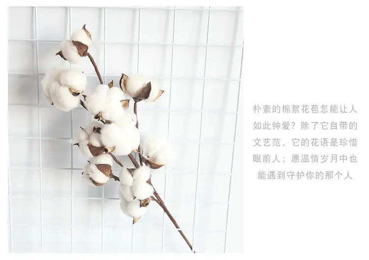 9 heads dried cotton stems natural artificial flower decorative Wedding home party living room long branch