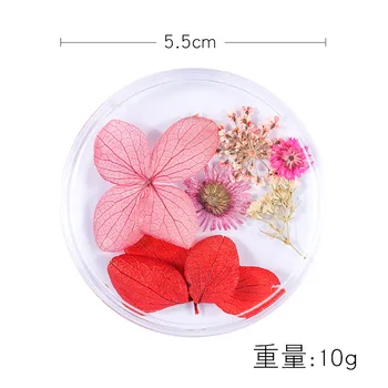 

1pc/set Hot Sale New 3D Nail Decal and Stickers Japanese Dried Flower Nature Beauty Nail Ornament Lace Flower Mixed Color T1624