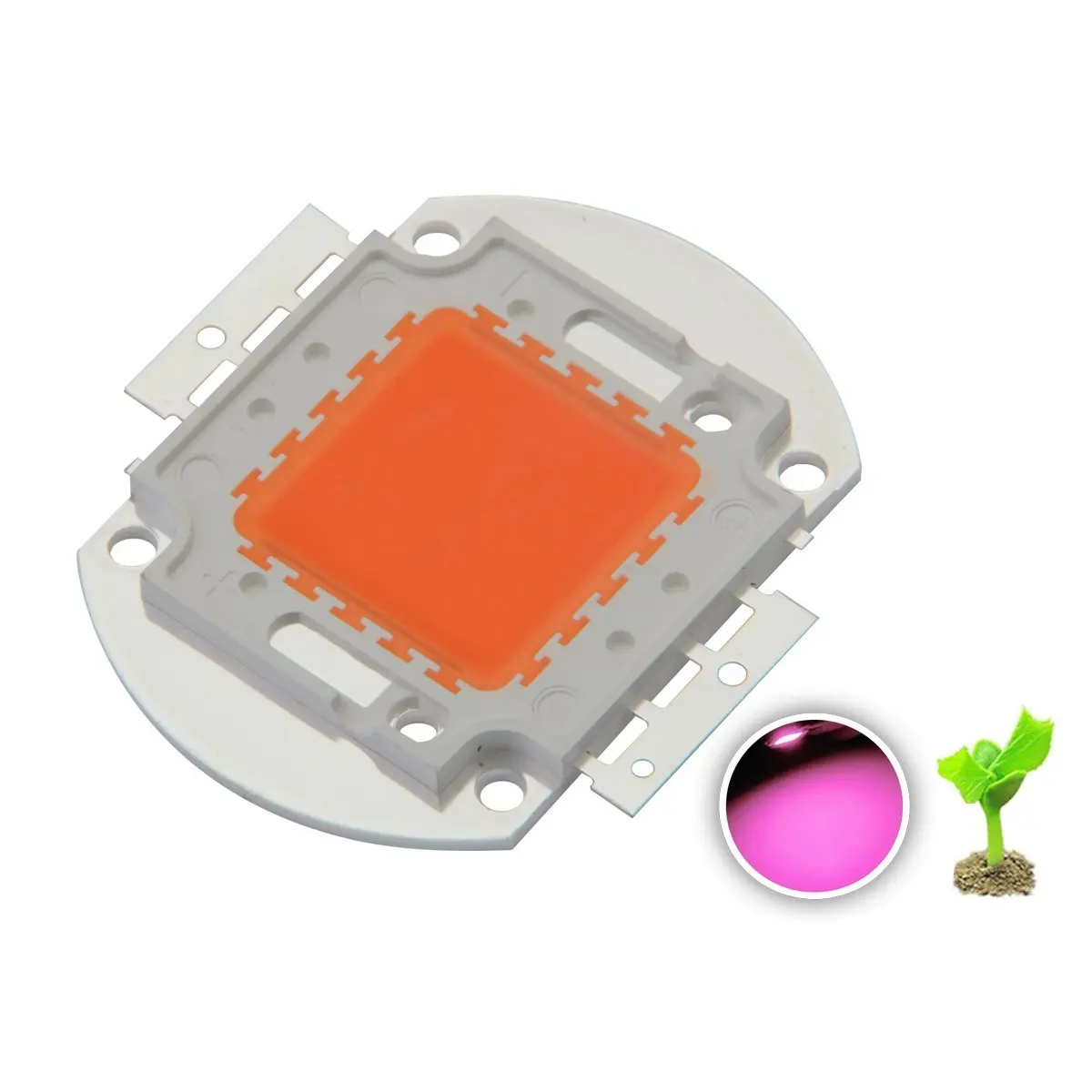 5PCS 30W LED Grow light chip Epistar full spectrum 380-840nm 30W led grow light array for indoor DIY growth and bloom