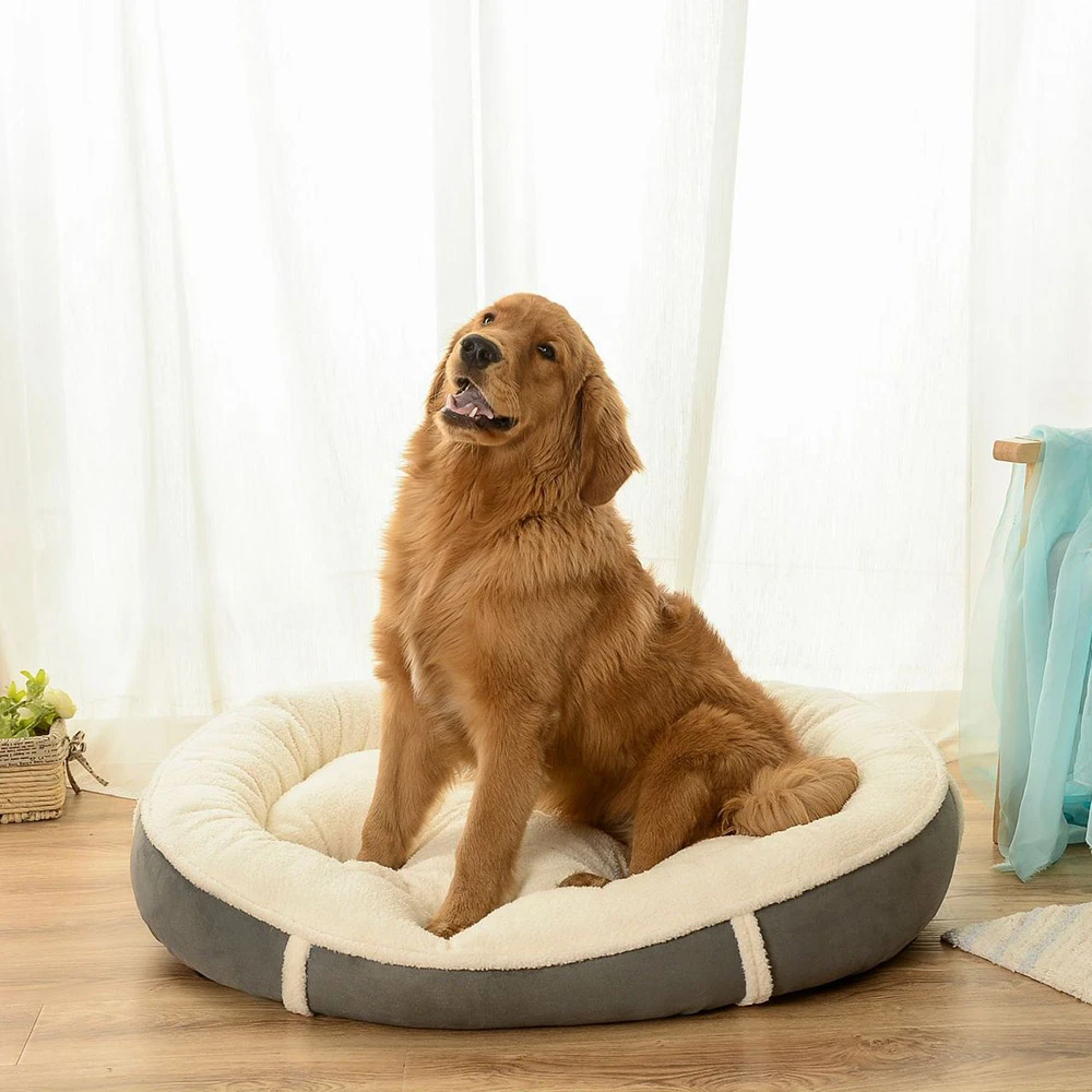 dog sofa beds for large dogs