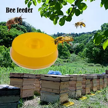 

Beehive Water Feeder Plastic Disc Beehive Feed Trough Bowl Drinking Tool Beekeeping Equipment Yard Beekeeper Nest Tool