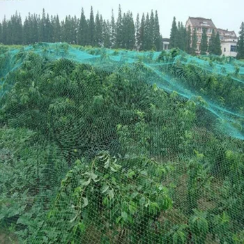 

Fruit Anti-bird Net Crop Plant Garden Pond Mesh Accessory Polyethylene