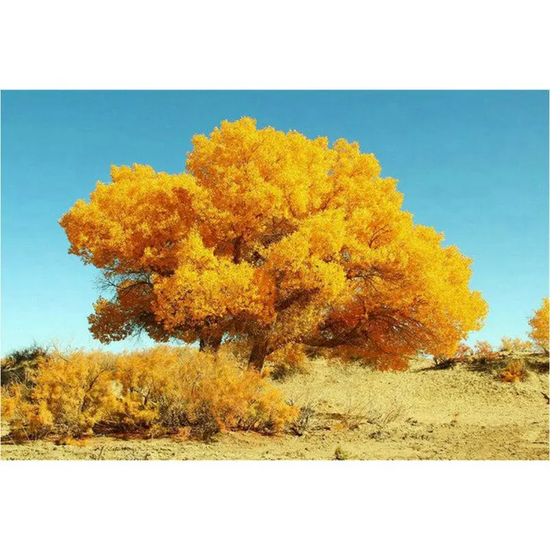 New diy 5d diamond painting golden tree autumn landscape full square 3d round art cross stitch mosaic embroidery crafts | Дом и сад