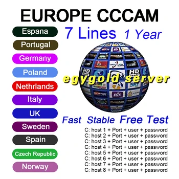 

Special for poland Europe HD 1 Year CCCam Spain Portugal Germany Poland Satellite tv Receiver 7 Clines For DVB-S2 GTMEDIA v7s V8