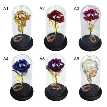 

Beauty and Beast Red Rose In A Glass Dome Valentine's Day On A Wooden Base For Valentine's Gifts Christmas LED Rose Lamp