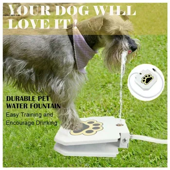 Automatic Outdoor Dog Water Fountain