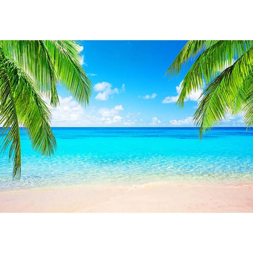 Tropical Beach and Sky Photography Backdrop