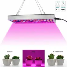 300 Вт светодиодный свет для выращивания гидропоники полный спектр Крытый Veg завод лампа панель растение светать энергосберегающие лампы для выращивания Sep 6