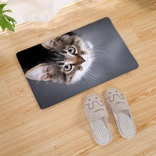 Tapis de porte d'entrée de cuisine, chat mignon, paillasson avant, tapis de maison, salle intérieure, tapis de bain antidérapant, de bienvenue 