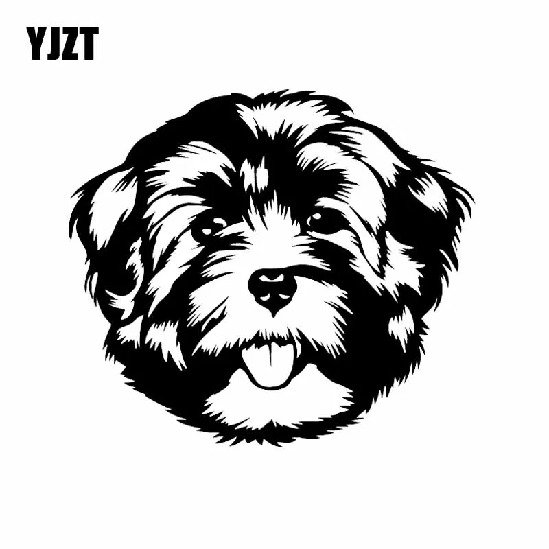 

YJZT 16.1X14.1CM Cute Animal Car Sticker Havanese Face Vinyl Decal Dog Breed Black/Silver C24-1532