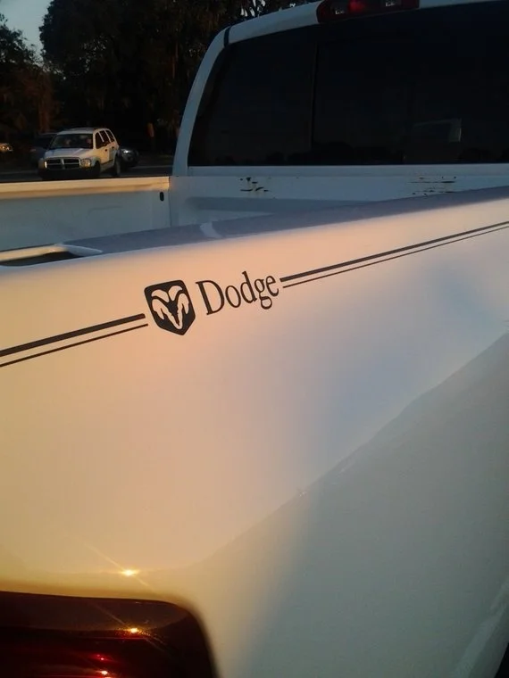 

For 2Pcs Dodge Ram Pin Stripe Insert Decals