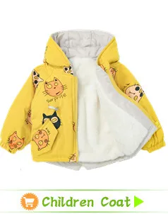 12874996739_4093-813_副本