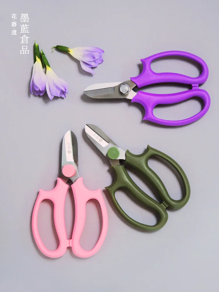 

Art Teachers Horticulture Only Art Division Scissors Tool Flower Arrangement Branch Spray Flower Pruning Garden Shears Knife Hou