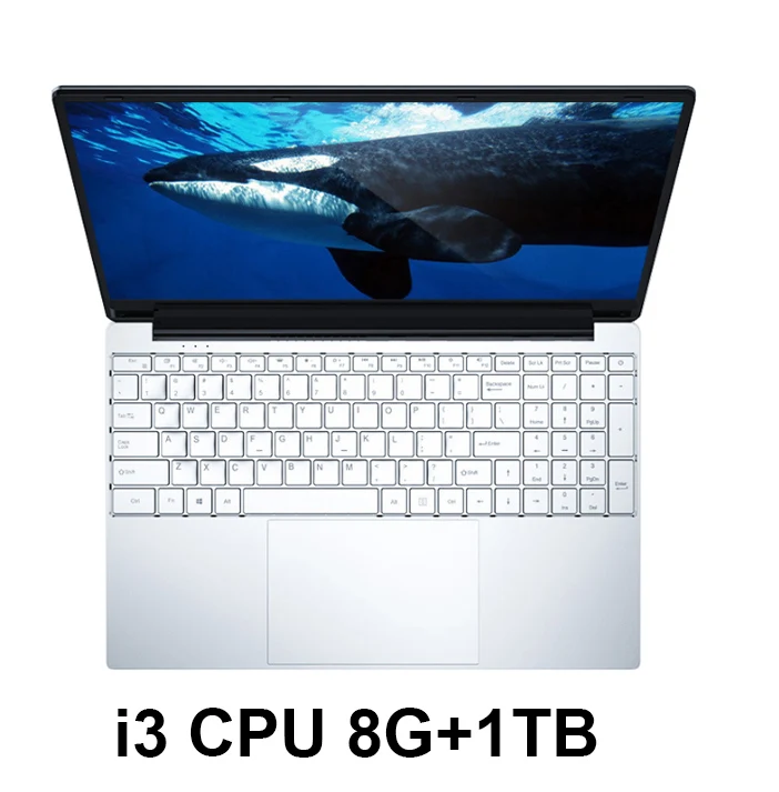 I3-8G RAM-1TB J3160/Core i3 ноутбук 15,6 дюймов с 8G ram 1 ТБ HDD Игровые ноутбуки компьютер с подсветкой Клавиатура ips дисплей ноутбук Win10 OS - Цвет: I3-8G RAM-1TB