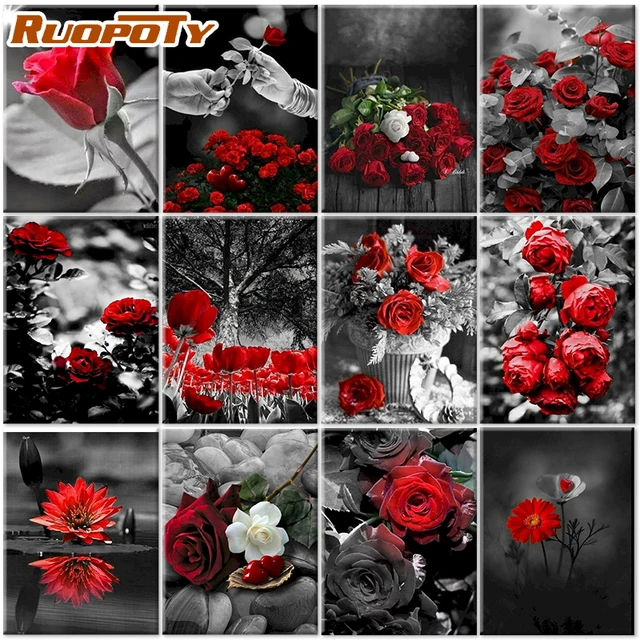 Paint Number Canvas Digital Oil Painting  Paint Numbers Adults Frame -  Frame Red - Aliexpress