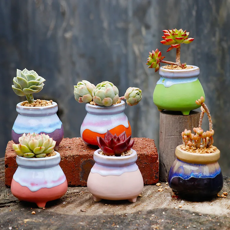 

Creative Single Color Ceramic Fleshy Flower Pot Desktop Decoration Ceramic Fleshy Flower Pot Gardening Seedling Container Pot