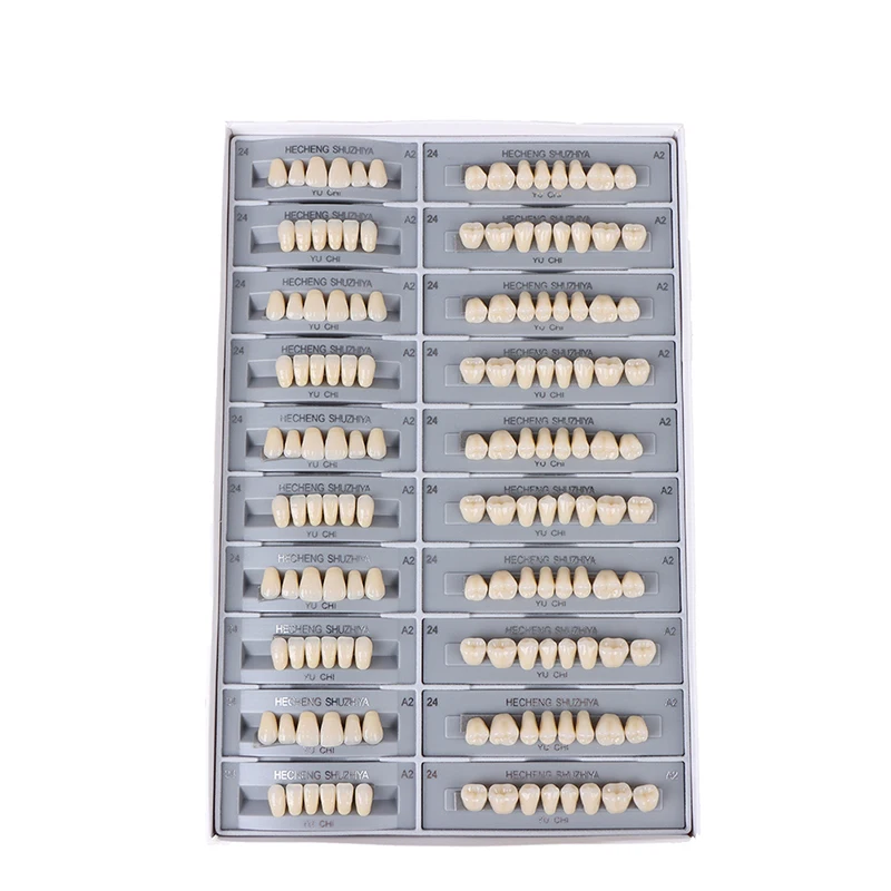 SURENHAP Dent En Résine Synthétique Matériau Dentaire Résine Synthétique Fausses Dents