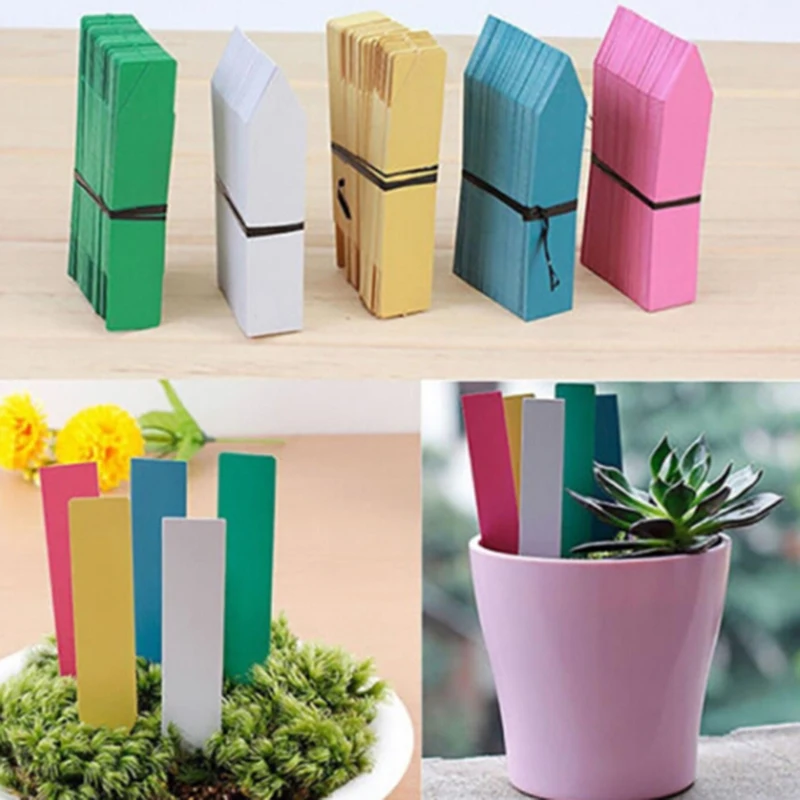 100 PCS Reusable PVC Plants Hang Tag Labels Tree Fruits Seedling Garden Flower Pot Plastic Tags Sign Classification Tools