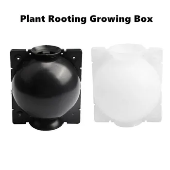 

5/8/12cm Plant Grafting Rooting Growing Box Rooting Ball seeding Case Flower pots Pouch Container Nursery Box Garden seeds Root