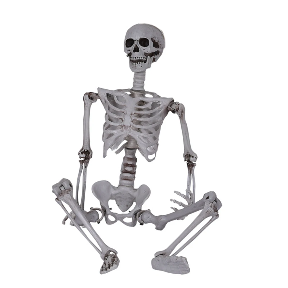 Details about Halloween Prop Human Skeleton Full Size Skull Hand Life Body Anatomy Model Decor Details about Halloween Prop Human Skeleton Full Size Skull Hand Life Body Anatomy Model Decor